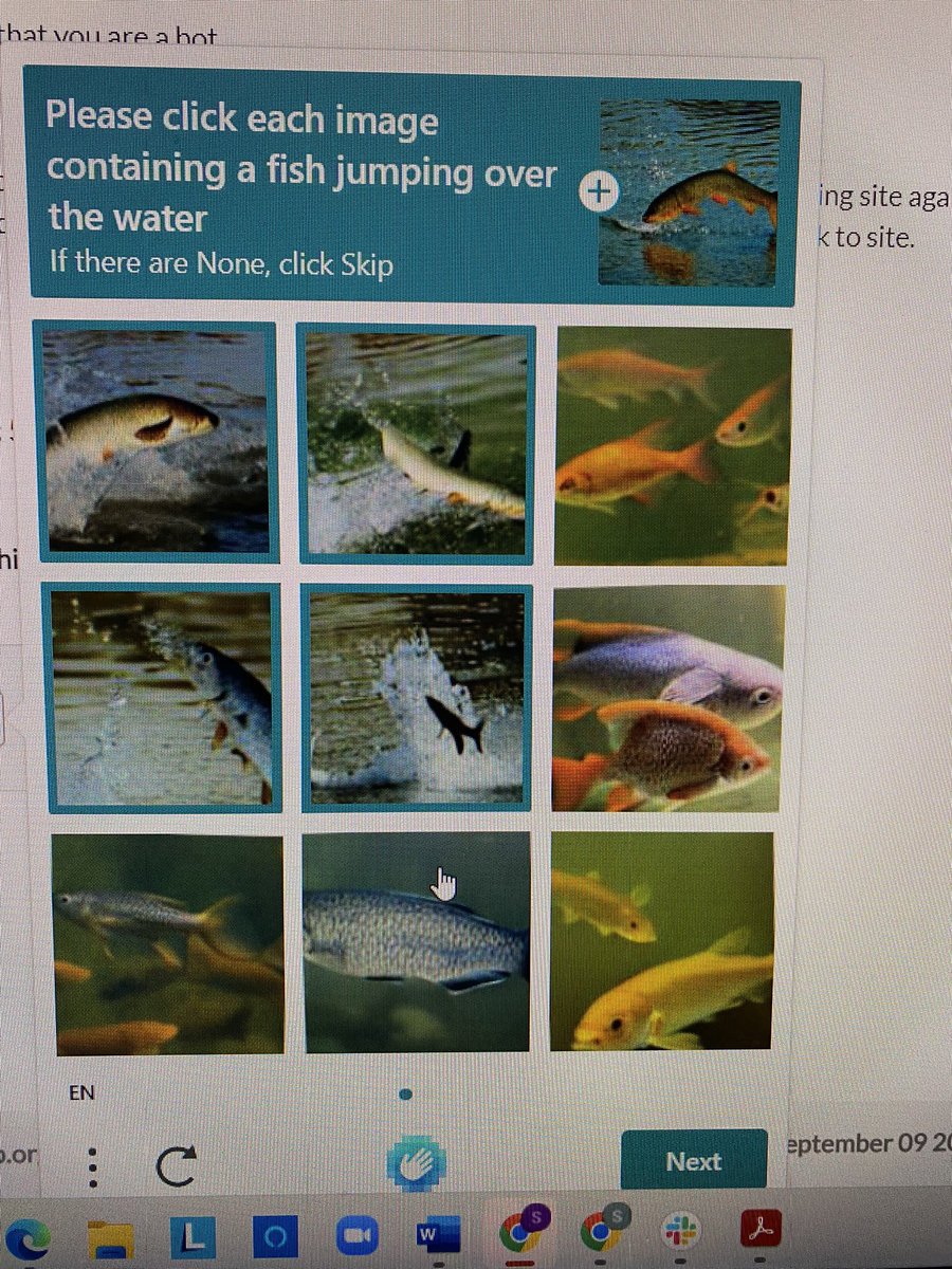 SalmonStephAK's tweet photo. This is my kind of captcha! #fishnerd https://t.co/bPPasDzoXw