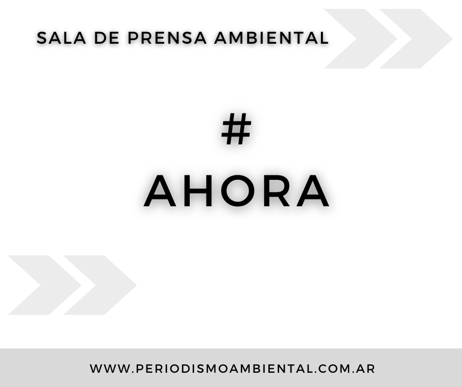 SaladePrensaAmb's tweet photo. 🦉 Por decreto, entran en vigencia las modificaciones a la Ley de Política Ambiental en Córdoba.
🦉 A pesar de los reclamos de ONGs y sectores académicos, hoy se publicó en el Boletín Oficial de #Córdoba el Decreto N° 1021 que pone en vigencia las  modificaciones (sigue) https://t.co/UzjBv5pz8e
