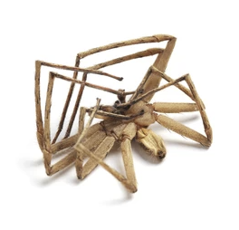 👑 David 🇵🇷 tweet media