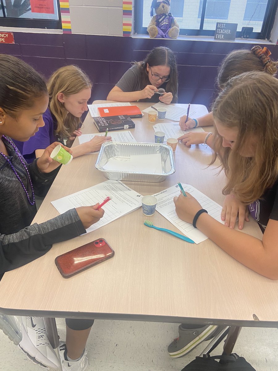 HawksNhawks4's tweet photo. Rock Cycle Lab! Examining and Classifying different types of rocks! @RRMSRoyalKnight #WeAreRoyal #RRMSALLIN https://t.co/fl8eH8ojgz