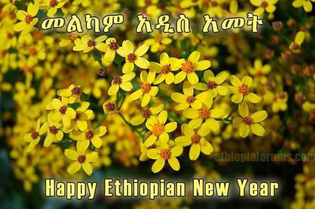 EthioSouthSudan tweet picture