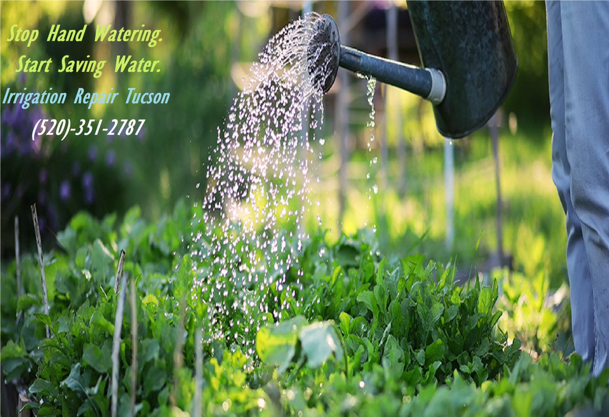 Looking for professional irrigation and landscaping services in Tucson, Catalina Foothills, La Paloma, Foothills, AZ? we have over 15 years of experience in Irrigation Repairs and Installation! tucsonazplumber.com/irrigation-rep… #irrigation #landscaping #IrrigationRepair #IrrigationInstall