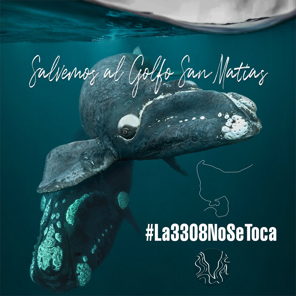 Las organizaciones argentinas del <a href="/FMarPatagonico/">Foro para la Conservación del Mar Patagónico</a>  manifiestan su rechazo al proceso de modificación de la Ley 3308.