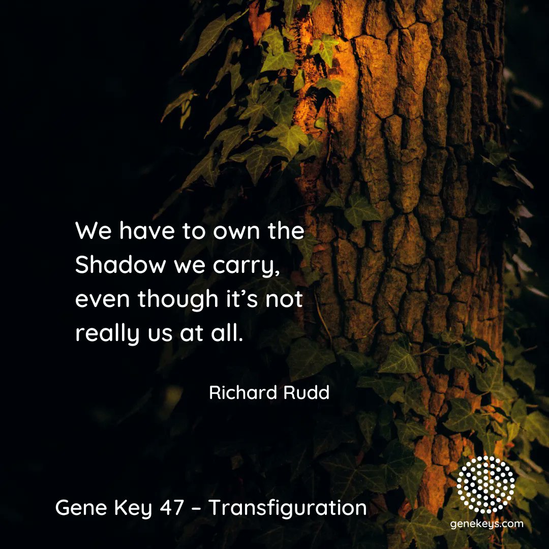 gene_keys's tweet photo. The Pulse – 10 Sep to 14 Sep – The 47th Gene Key moves from the Shadow of 

For more about the Gene Keys visit and subscribe to The Pulse at https://t.co/Dviu0aq2kw

#genekeys #genekey47 #transfiguration #transmutation https://t.co/tXvOD4Hu4Z