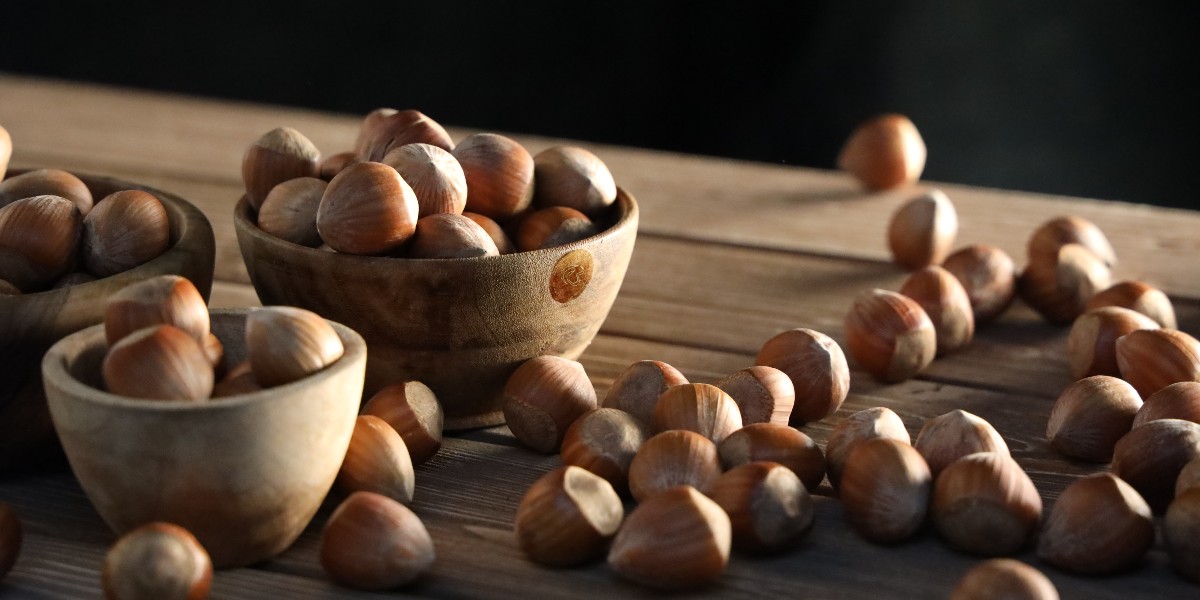 The "Italian Hazelnut Orchards" was born in 2011, and to this day 500 hectares of Hazelnut groves have been planted in Tuscany.