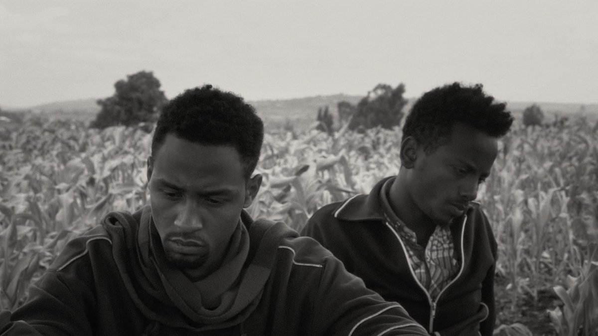 And21st's tweet photo. Faya Dayi, the 2021 feature debut by Mexican-Ethiopian director Jessica Beshir, is a visual masterpiece shot over a 10 year period in the Harar area of Ethiopia.  Criterion has released a nice edition for this unique film!

https://t.co/p9I9cx7rw0 https://t.co/aewbeXanA5