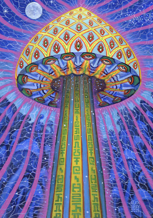 networkstore3's tweet image. On the blue moon a colorful mushroom-being appeared in my imagination. Interconnected faces shared a visionary cap, like a temple dome, while starry spores dropped. Allysons secret writing symbols ascended the stem uttering a blessing both indescribable and ethereal.
-- Alex Grey