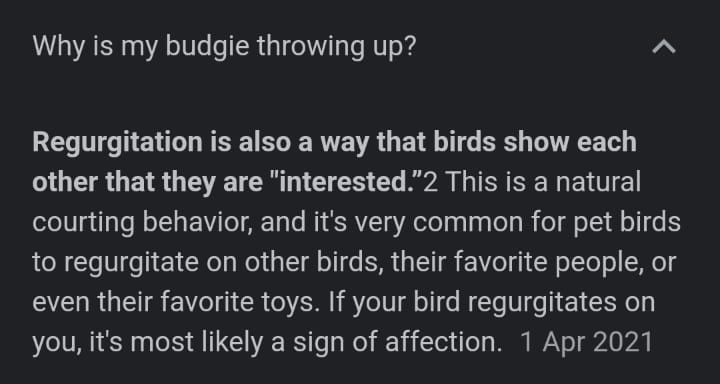 lo_richardson's tweet photo. Our budgie just flew over to me and was being sick. I googled it in a panic and apparently he was regurtating and it’s a sign of affection and I AM CRYING OVER HOW MUCH I LOVE THIS BIRD 🥹💕 https://t.co/Dk1Ocf3tmN