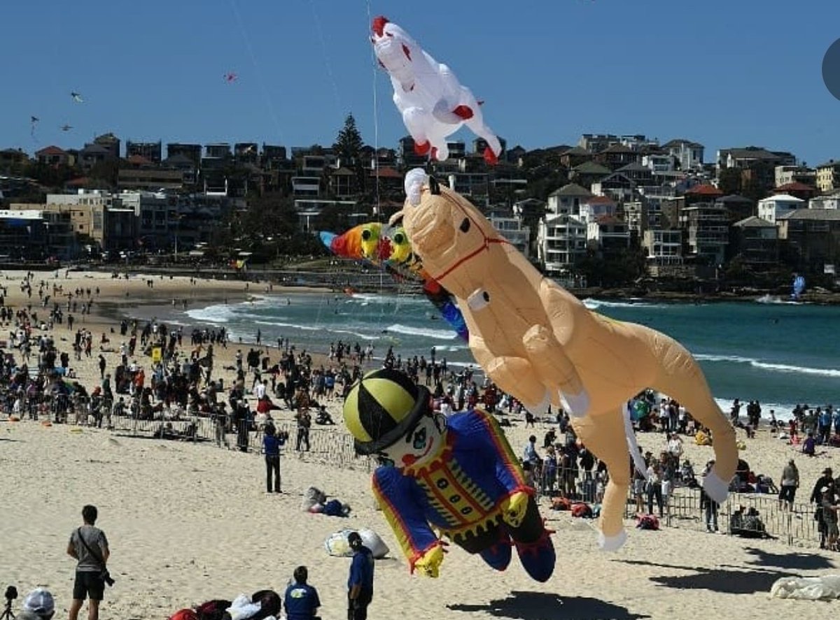 Herman Plattje tweet media