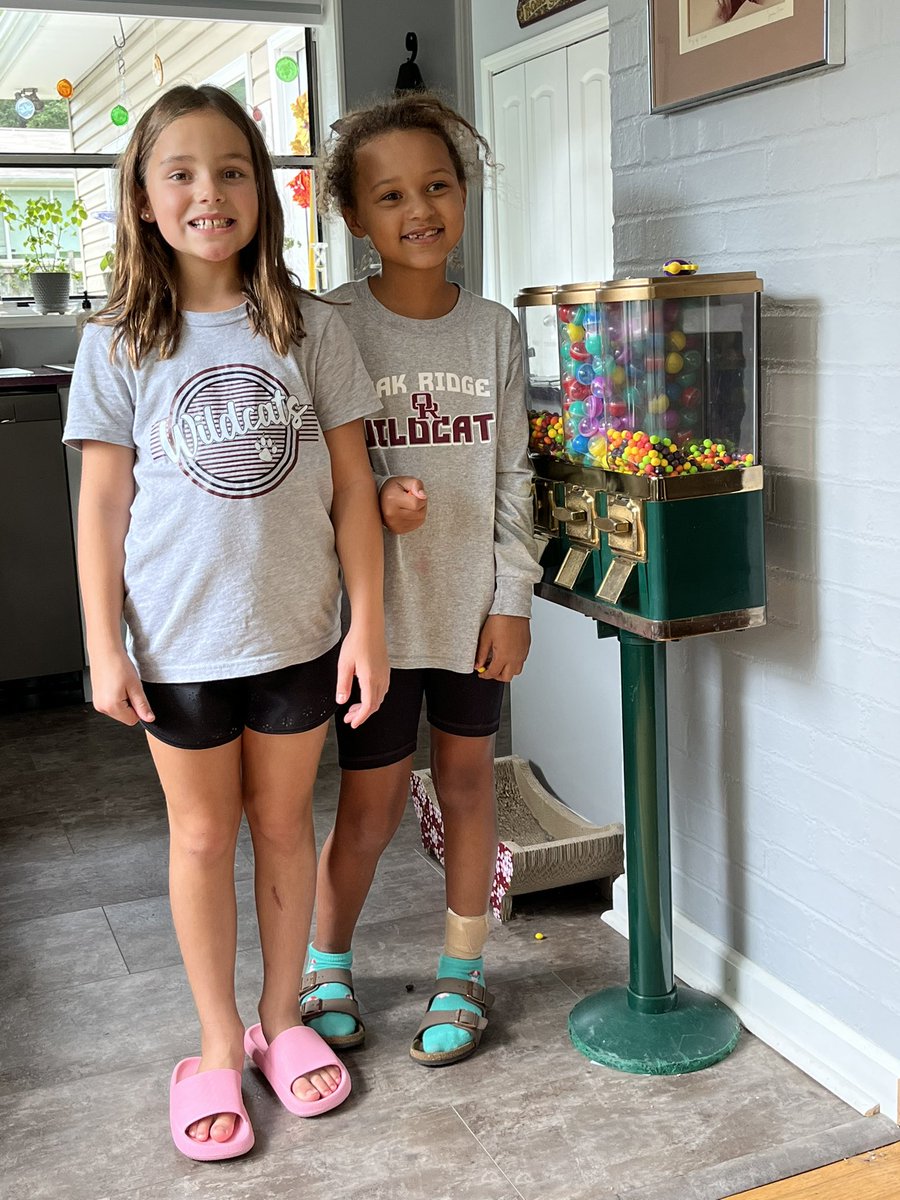 Ms. Green ~ Librarian ~ Science tweet media