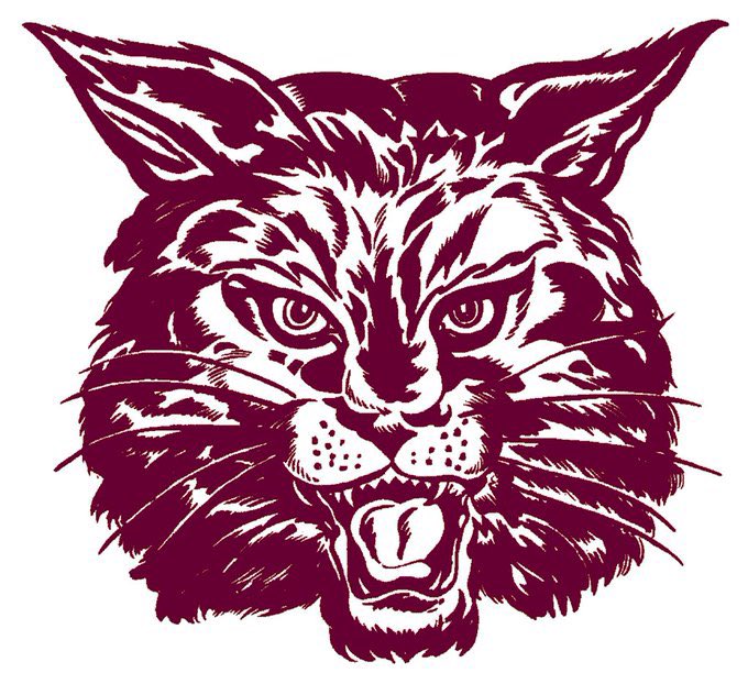 Ms. Green ~ Librarian ~ Science tweet media