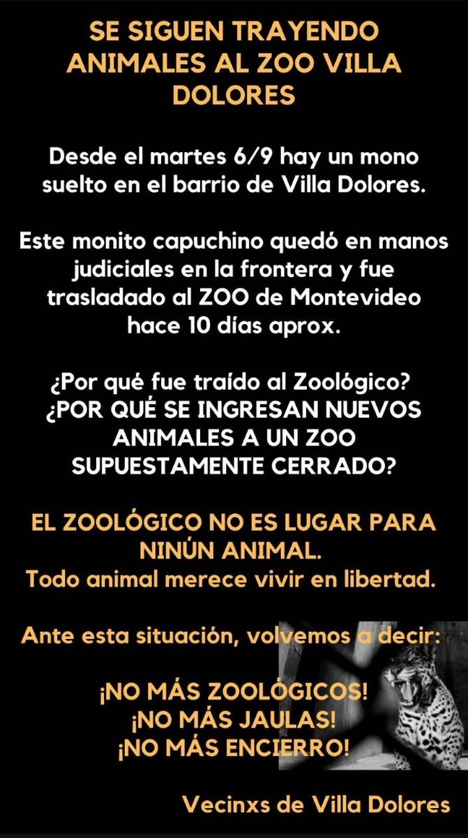 @RadioSarandi690 #Nomászoo