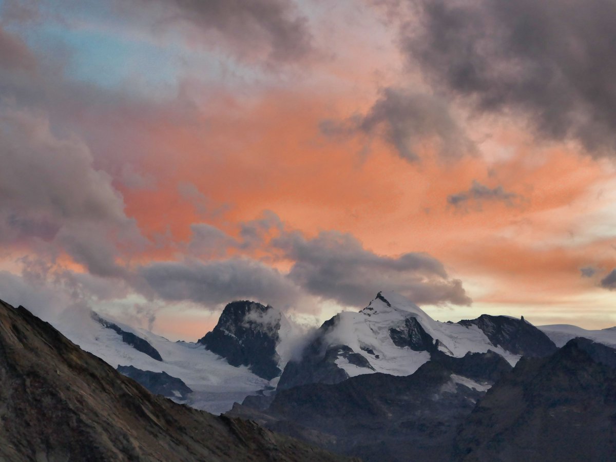 Al Powell tweet media