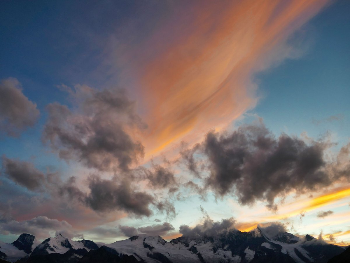 Al Powell tweet media