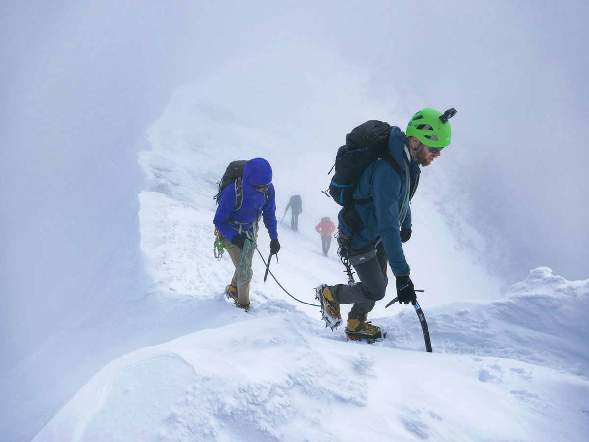 Al Powell tweet media