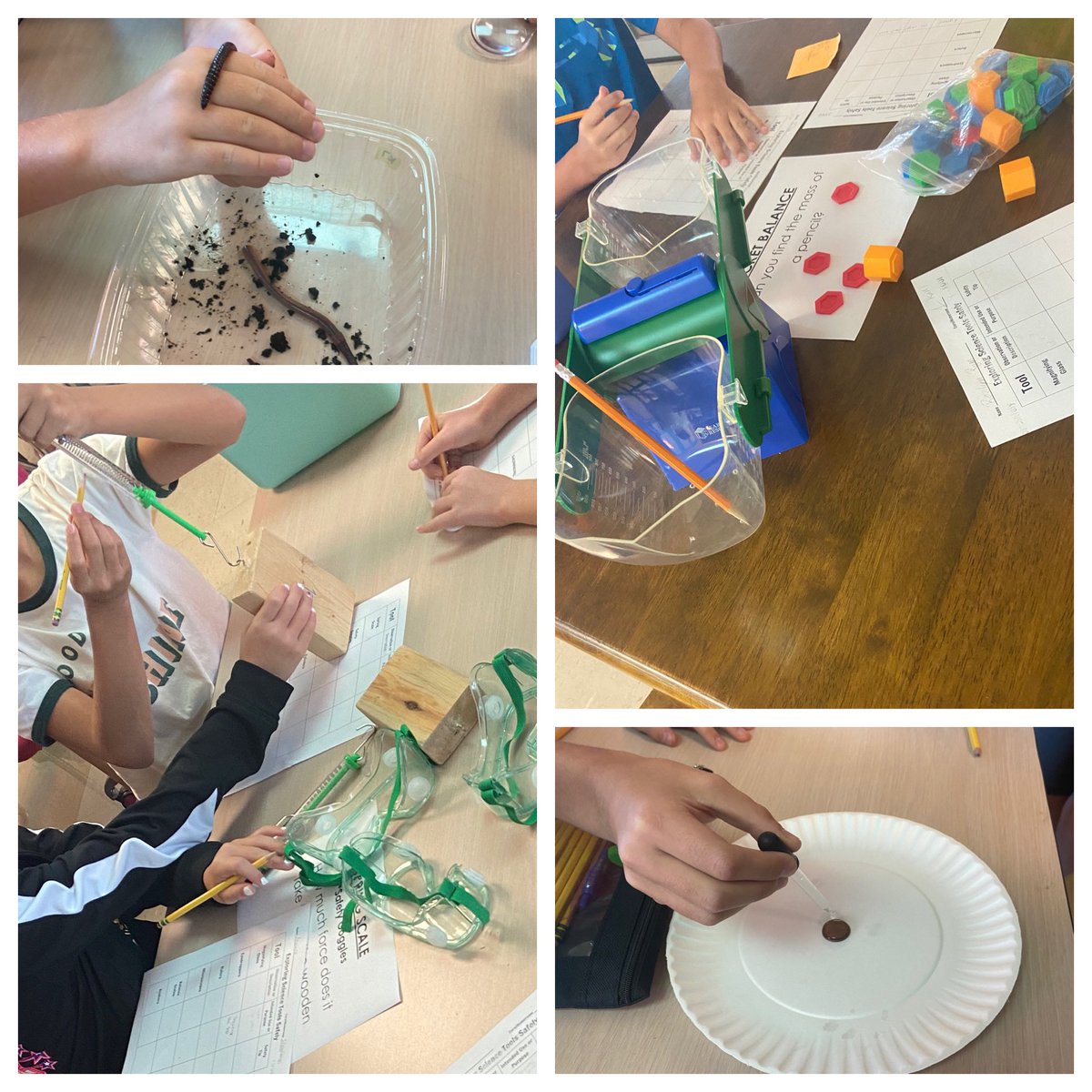 This week, fifth-grade students <a href="/WilsonsCreekInt/">Wilson's Creek</a> learned about science process skills and ways to safely use tools in the lab.  <a href="/officialSPS/">Springfield Public Schools</a> <a href="/DrKarynChristy/">Karyn Christy</a>