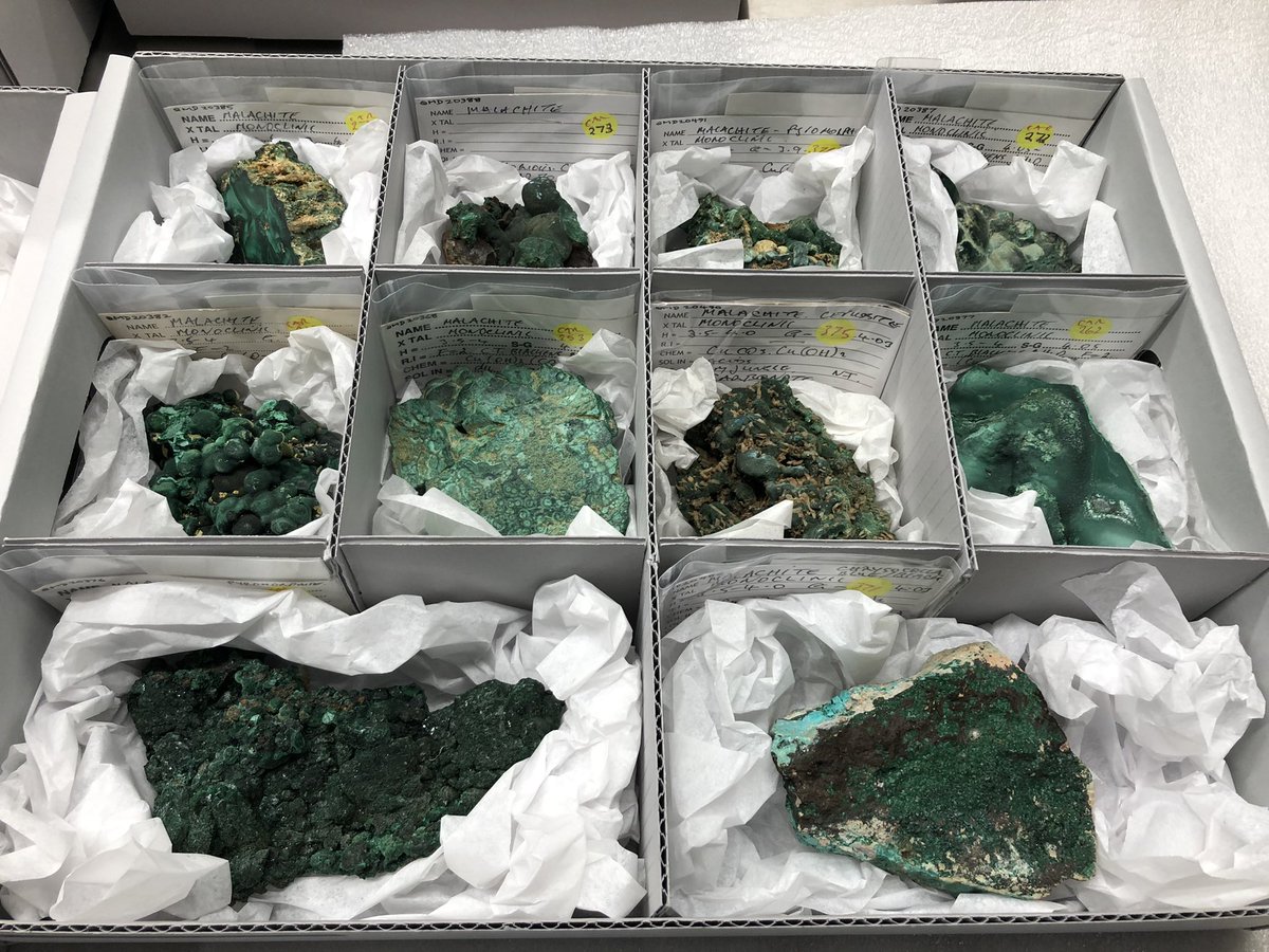 kristraining's tweet photo. A little Malachite to end the working week #notyetmineralmonday #newmuseumcollections @qldmuseum … stay tuned to see what mineral we process next (small hint in the third picture!) https://t.co/TPaQSttiix