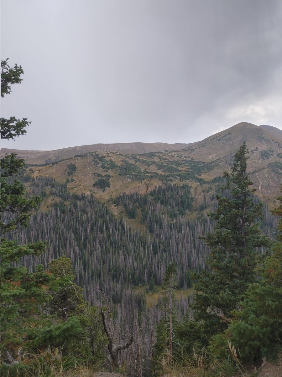 TheyMelinda's tweet photo. We went to Colorado https://t.co/wOFXlfteoD