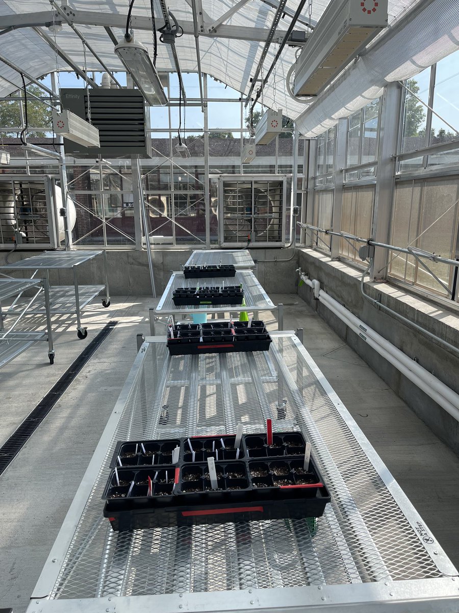 Justin Olive tweet media