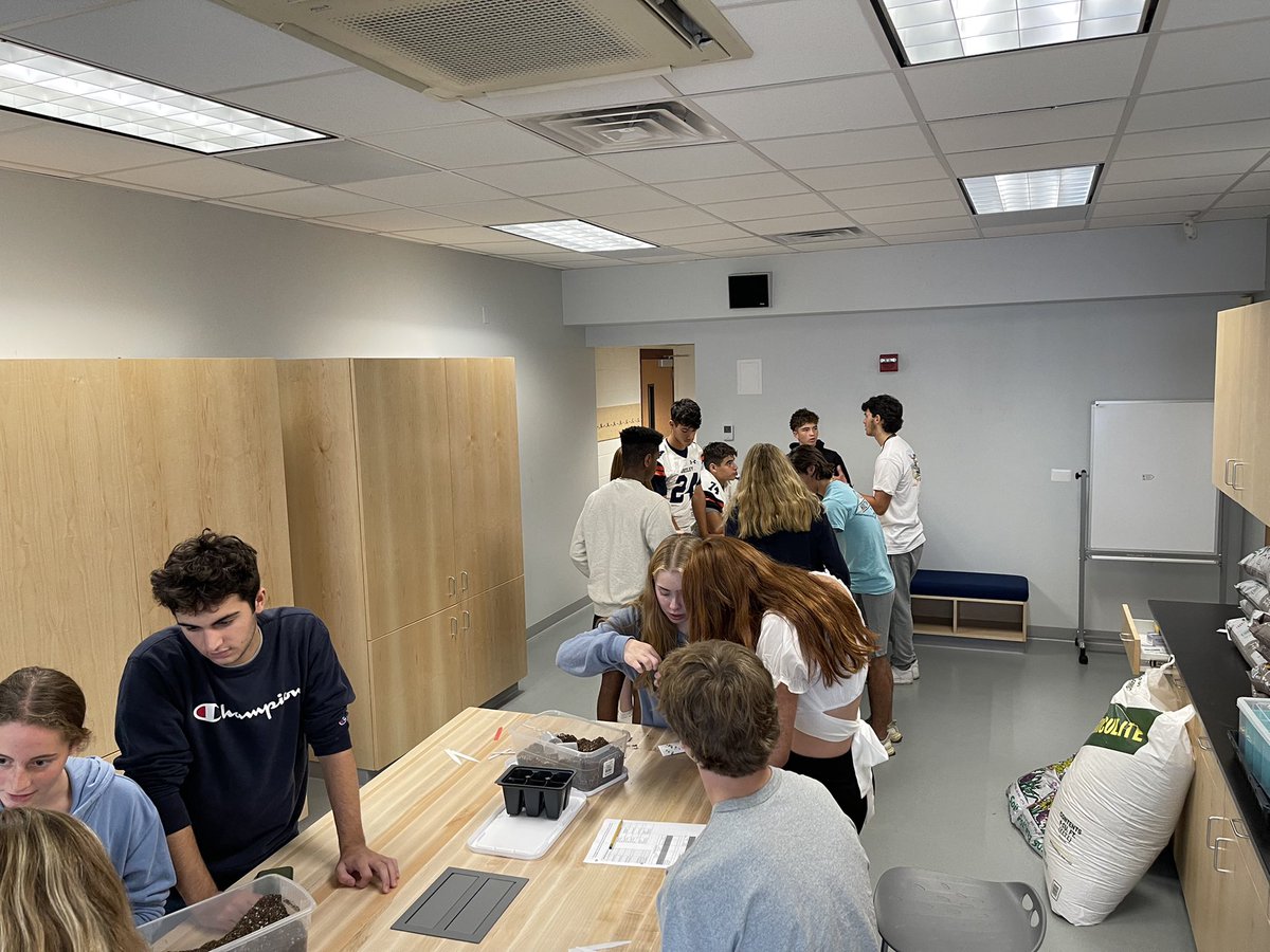 Justin Olive tweet media