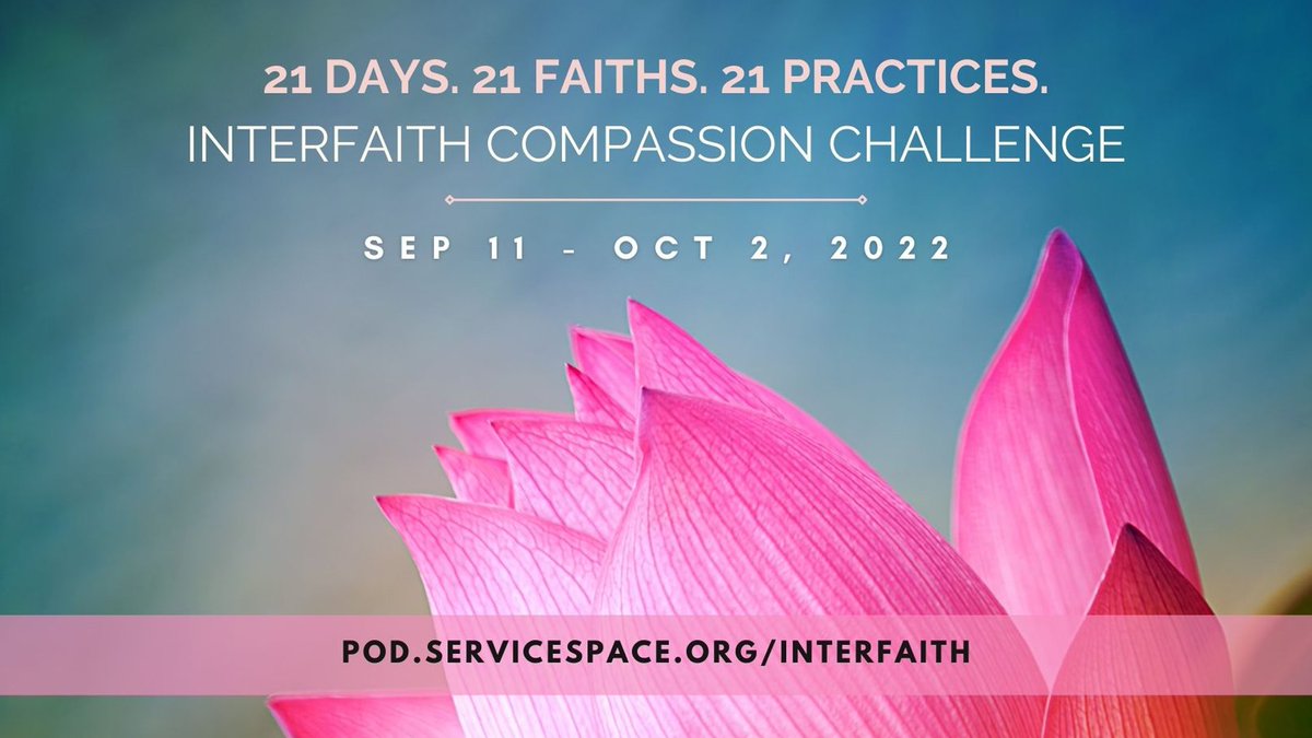 GreaterGoodSC's tweet photo. 21 years after 9/11, a 21-day Compassion Challenge. Choose Love. 21 Days, 21 Faiths, 1 Love. 
 #hope #Compassion911 #NeverForget911  #911Memorial  

Sign up at https://t.co/mbWHqWmBn4 https://t.co/xm2HxOgkKV