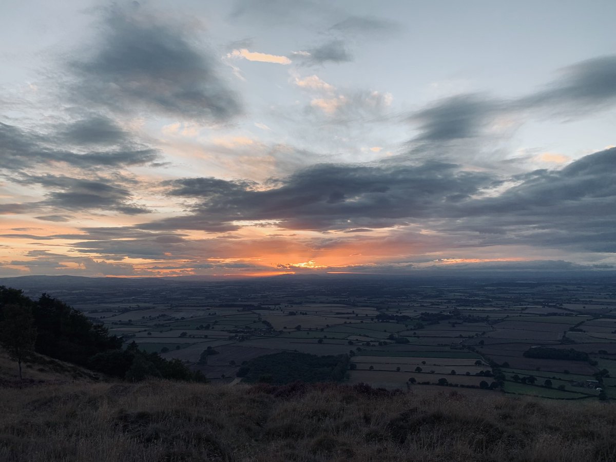 Marc Pearson tweet media