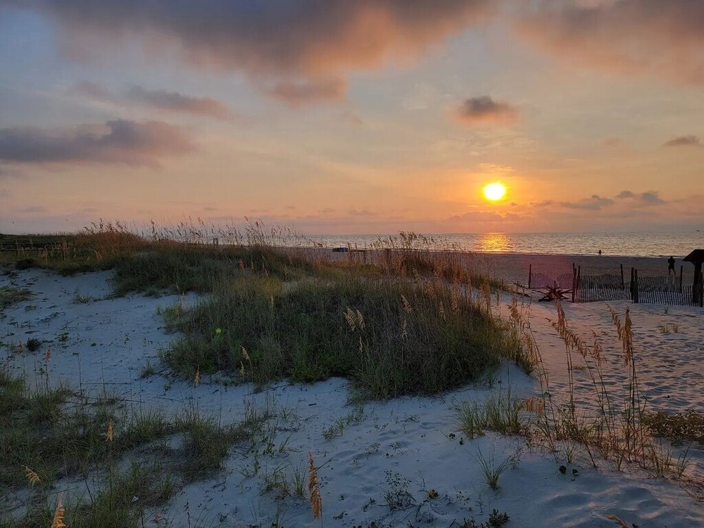 VisitTybee's tweet photo. "If I have ever seen magic, it has been in the image of sun, sand and sky." #VisitTybee [📸 @rusty_shackleford99]
.
. 
. 
#tybeeisland #tybee #tybeebeach #sunrise #fireskies #dunes https://t.co/lfdCQBss6y