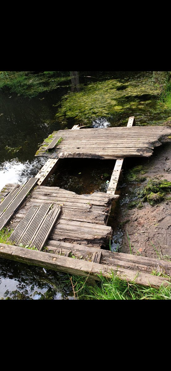 Neil Osborne tweet media