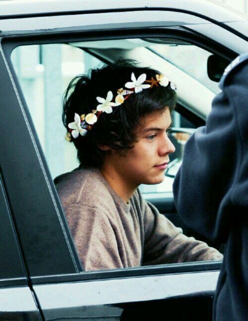 eugostodocaos_'s tweet photo. Harry é dono de uma floricultura junto com sua mãe, mas sonha em estudar Arquitetura e Paisagismo. Ao receber uma bolsa para estudar na Itália se sente realizado. Mas esse sonho acaba sendo destruído quando descobre que cancelaram as bolsas. + https://t.co/LQrPmaXRJs