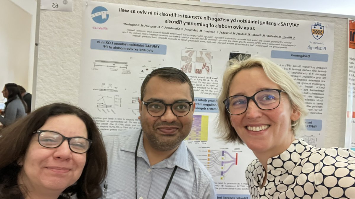 Melanie Königshoff tweet media