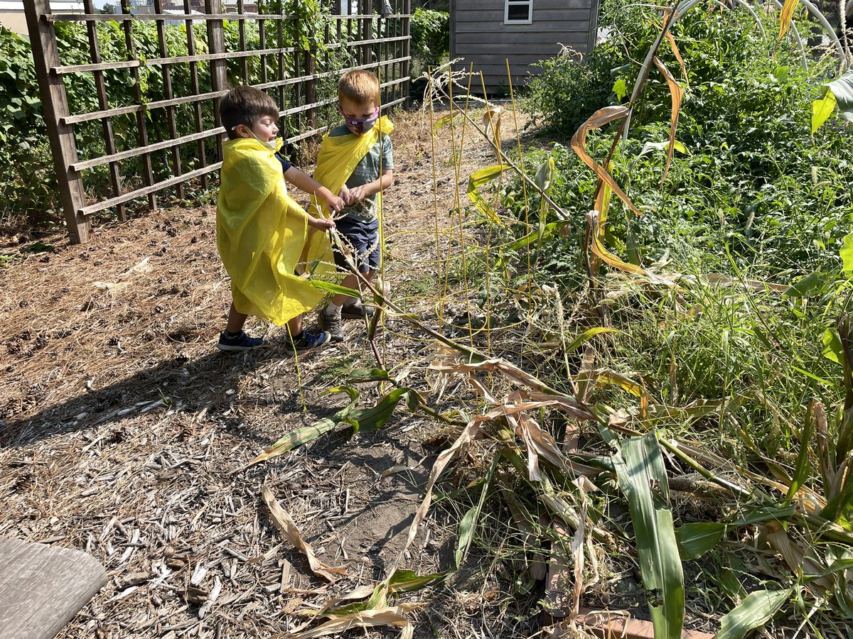 Ruth Staples Child Development Lab School-UNL tweet media
