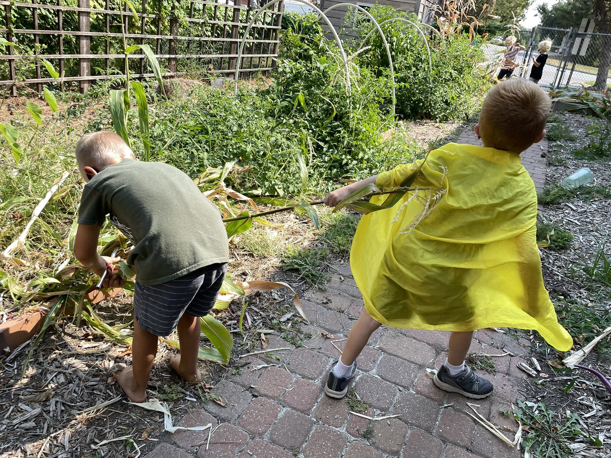 Ruth Staples Child Development Lab School-UNL tweet media