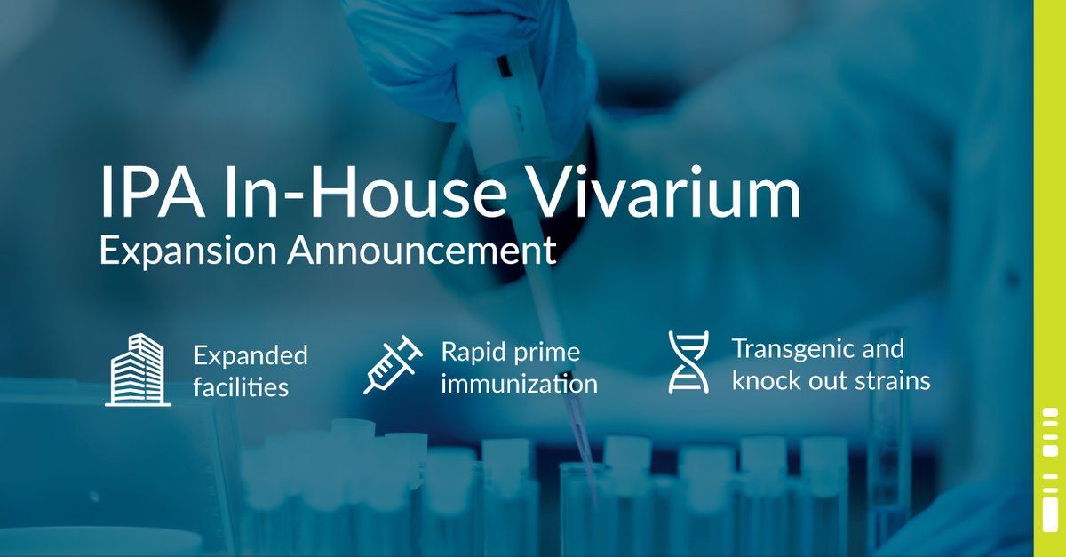 mindwalkcorp's tweet photo. Our vivarium size has doubled! New space allows for implementation of new in vivo service offerings, increasing our already comprehensive full-service #antibody discovery cycle.
Learn more: https://t.co/iuIfPUXKfw
$IPA #immunoprecise #antibodydiscovery #drugdiscovery #biotech https://t.co/788JWfmDBL