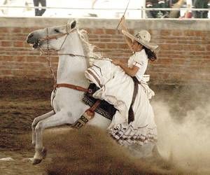 GanaderiayAgro's tweet photo. Charrería, Patrimonio cultural inmaterial de la humanidad…y orgullo de México.
#vistedetradiciones #charreriamexicana #charro #charreria #escaramuza #mexicotradicional #tradicionesmexicanas #deportemexicano https://t.co/MHmIP498Um