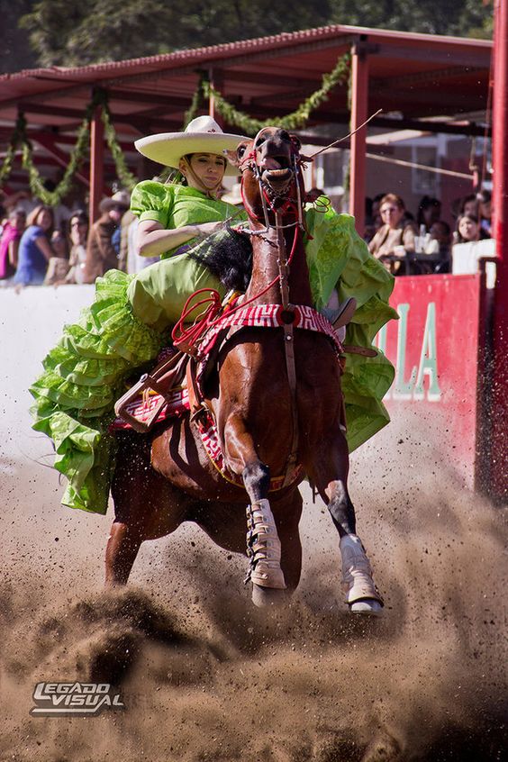 GanaderiayAgro's tweet photo. Charrería, Patrimonio cultural inmaterial de la humanidad…y orgullo de México.
#vistedetradiciones #charreriamexicana #charro #charreria #escaramuza #mexicotradicional #tradicionesmexicanas #deportemexicano https://t.co/MHmIP498Um