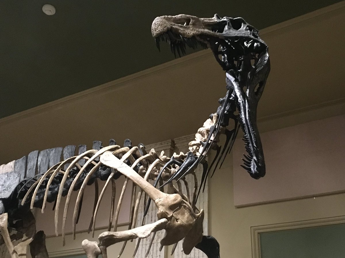 Andre Rowe tweet media