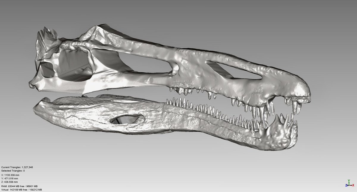 Andre Rowe tweet media