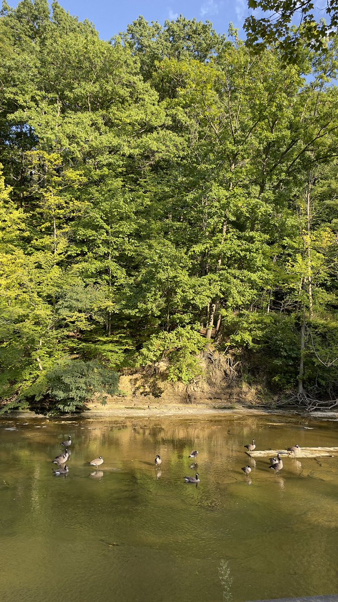 AjmaniK's tweet photo. Just another Friday evening…
sitting with some friends at the local watering hole
talking about #autumn 🙏🏽😌
#nature #walking140 https://t.co/fPxD9V9WXR