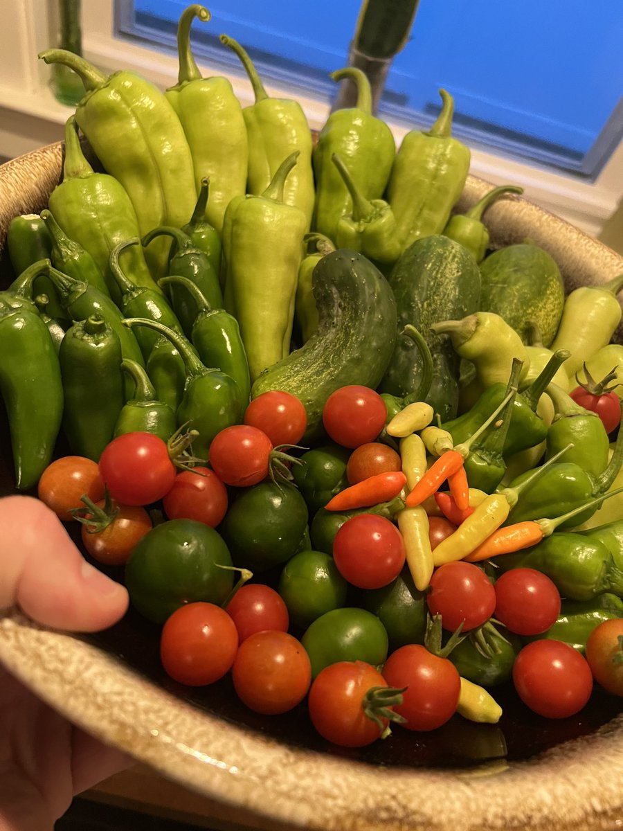 Garden still going strong!!