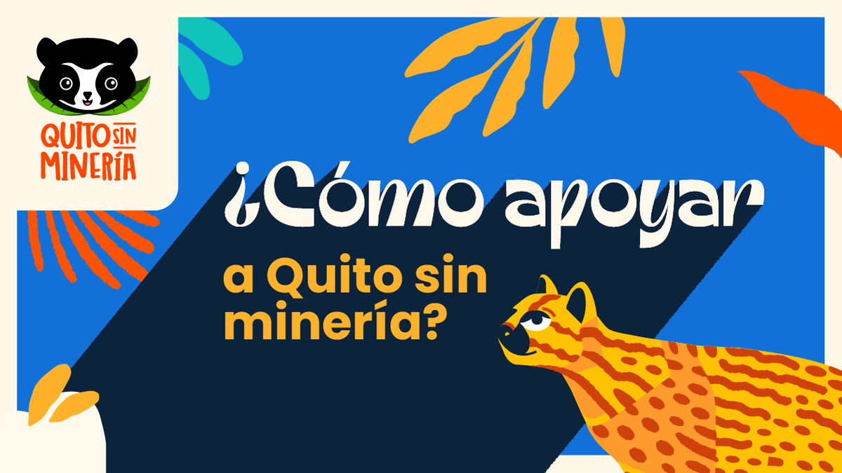 #QuitoSinMinería tweet media
