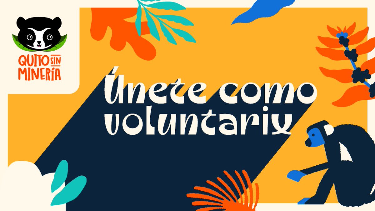 Hay muchas formas de colaborar con nuestra campaña. ¡Conócelas aquí!
quitosinmineria.com

#QuitoSinMinería #SeVieneLaConsulta