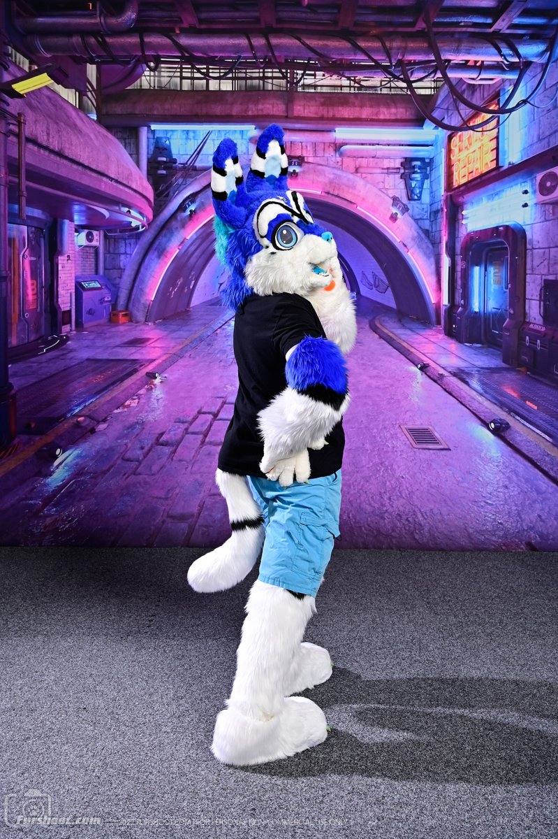 Nicholai Cabbit Gaul tweet media