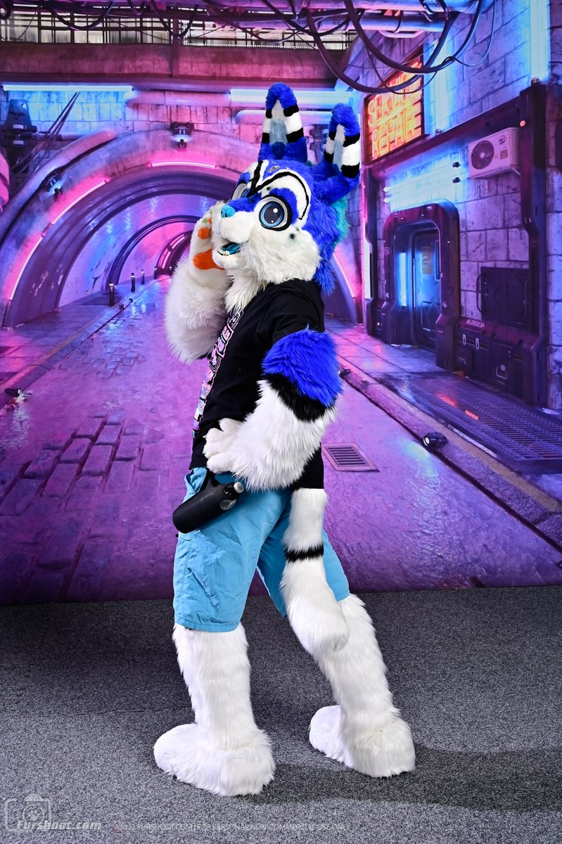 Nicholai Cabbit Gaul tweet media