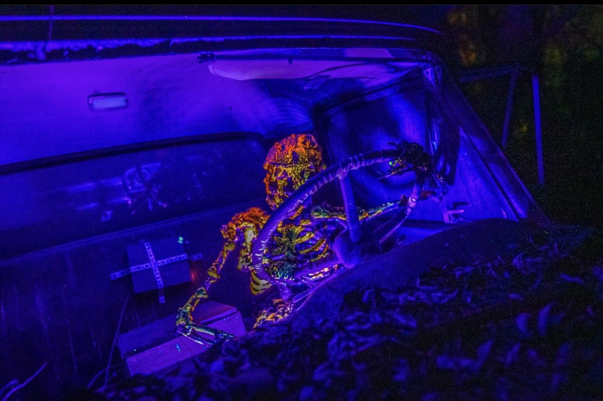 The parking lot is OPEN