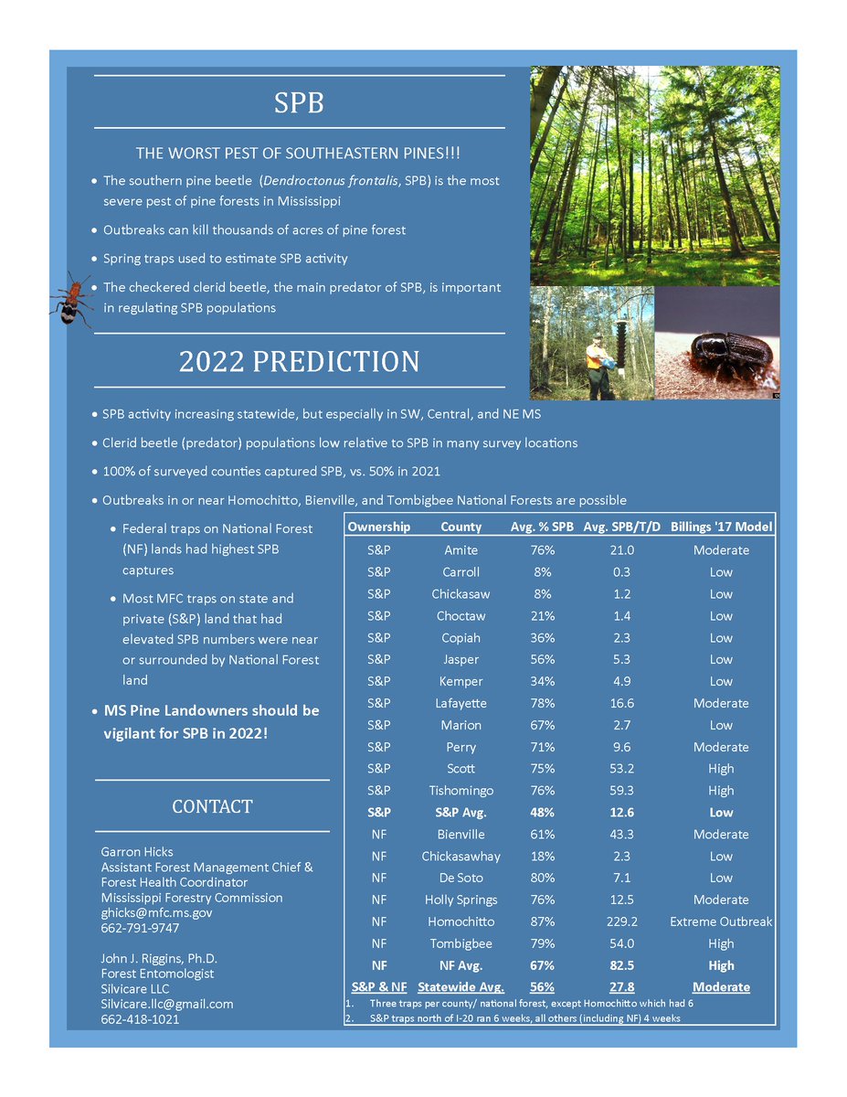 StateForesterMS's tweet photo. The #SouthernPineBeetle Trapping Report is in, and the results say #SPB activity is increasing statewide, especially in SW, Central, and NE MS. 

Pine Landowners in MS should be vigilant for SPB in 2022!

#invasivepests #invasives #forestpests #MSforestry https://t.co/q0tN7nb2N1