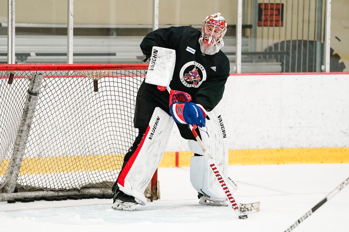 Arizona Coyotes tweet media