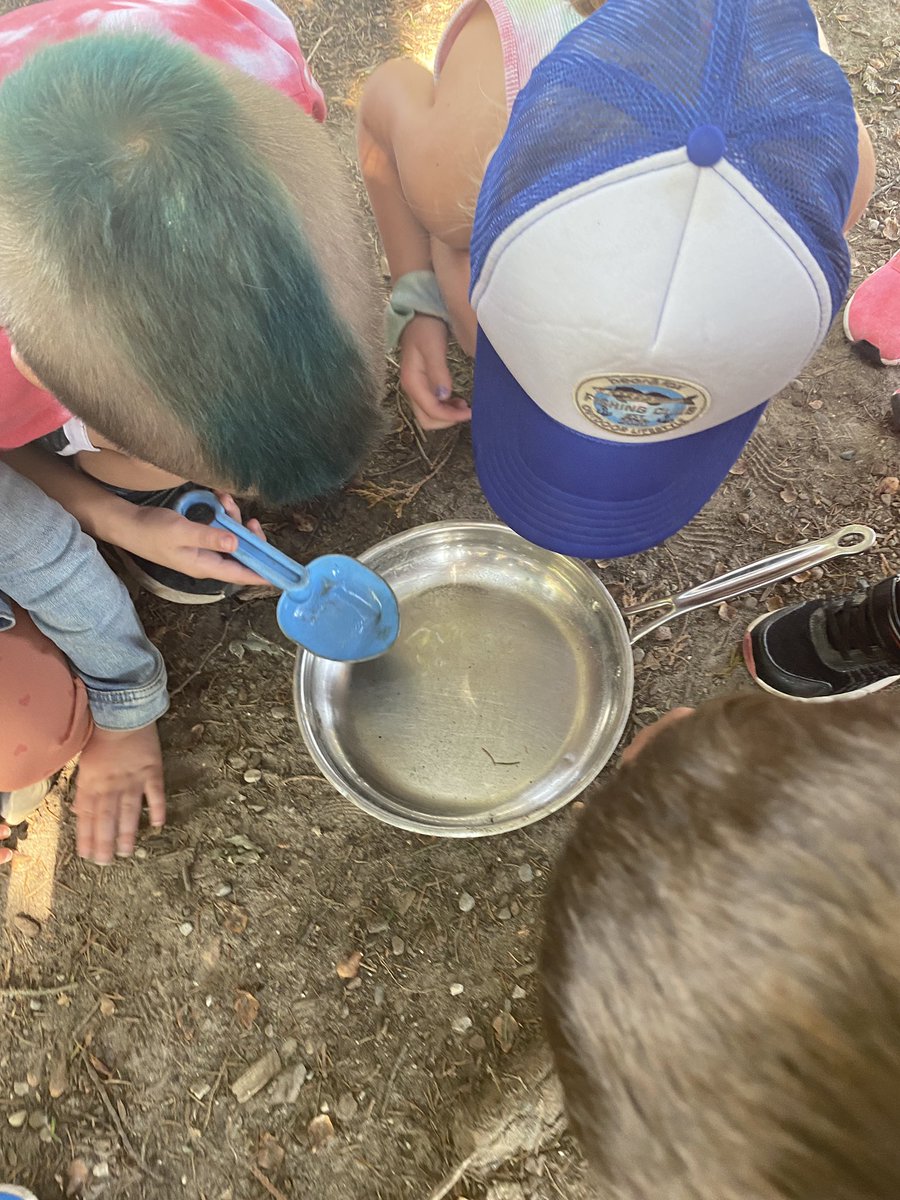 Ss were so excited to find lots of little “worms” swimming in our canoe! Lots of questions and wonders about these mysterious creatures! <a href="/zorrahighland/">Zorra Highland Park</a> <a href="/TVDSBKinder/">TVDSBKindergarten</a>