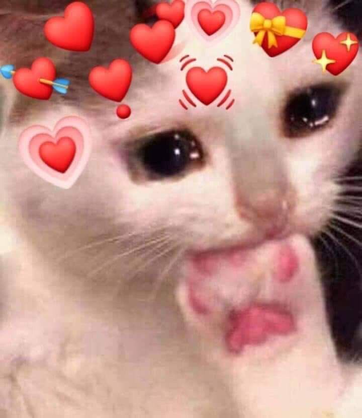 Nellons_'s tweet photo. @Pinkagator Thank you sweets!! https://t.co/I1nd8qpe2U