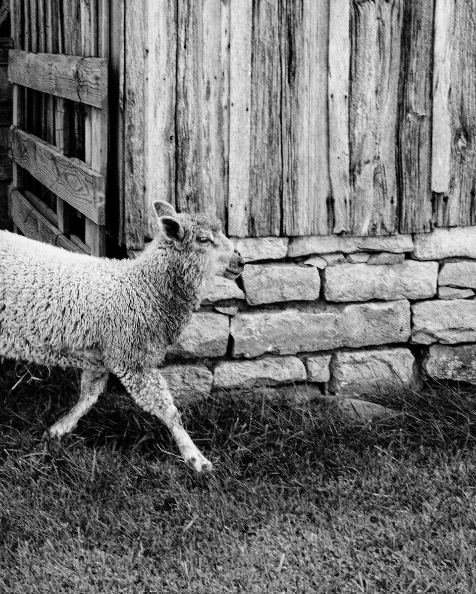 #blackandwhitephotography #blackandwhitephoto #streetphotography #photooftheday
 #photography  #photo #foto #photographer  #picoftheday  #canonphotography #monochrome