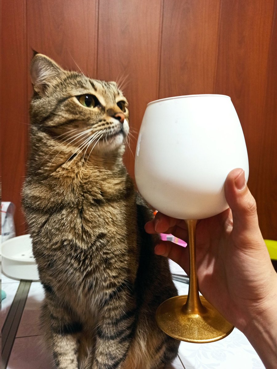 russian_weishn's tweet photo. За Вас, животные! https://t.co/GkUBEqGTnY